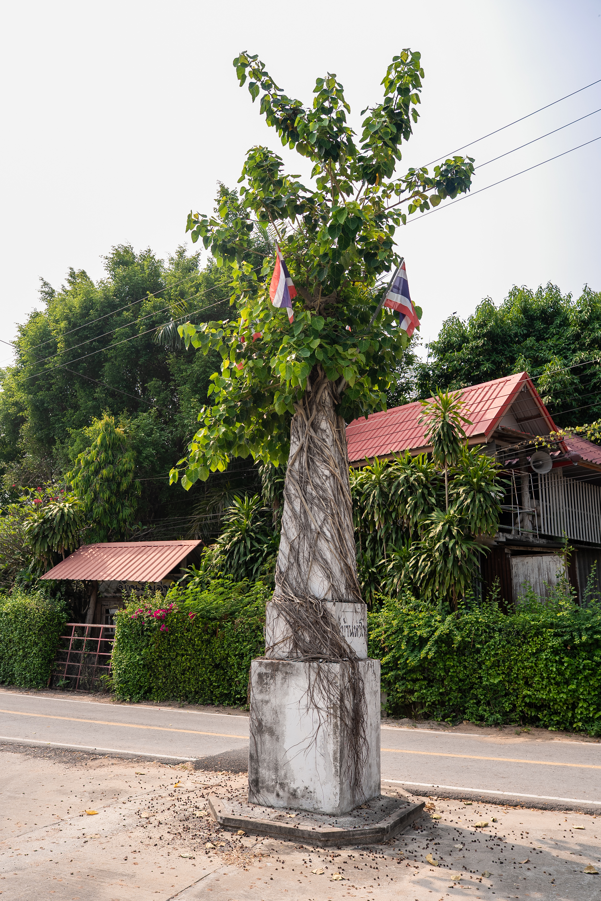 บรรยากาศชุมชนบ้านท่าโพ