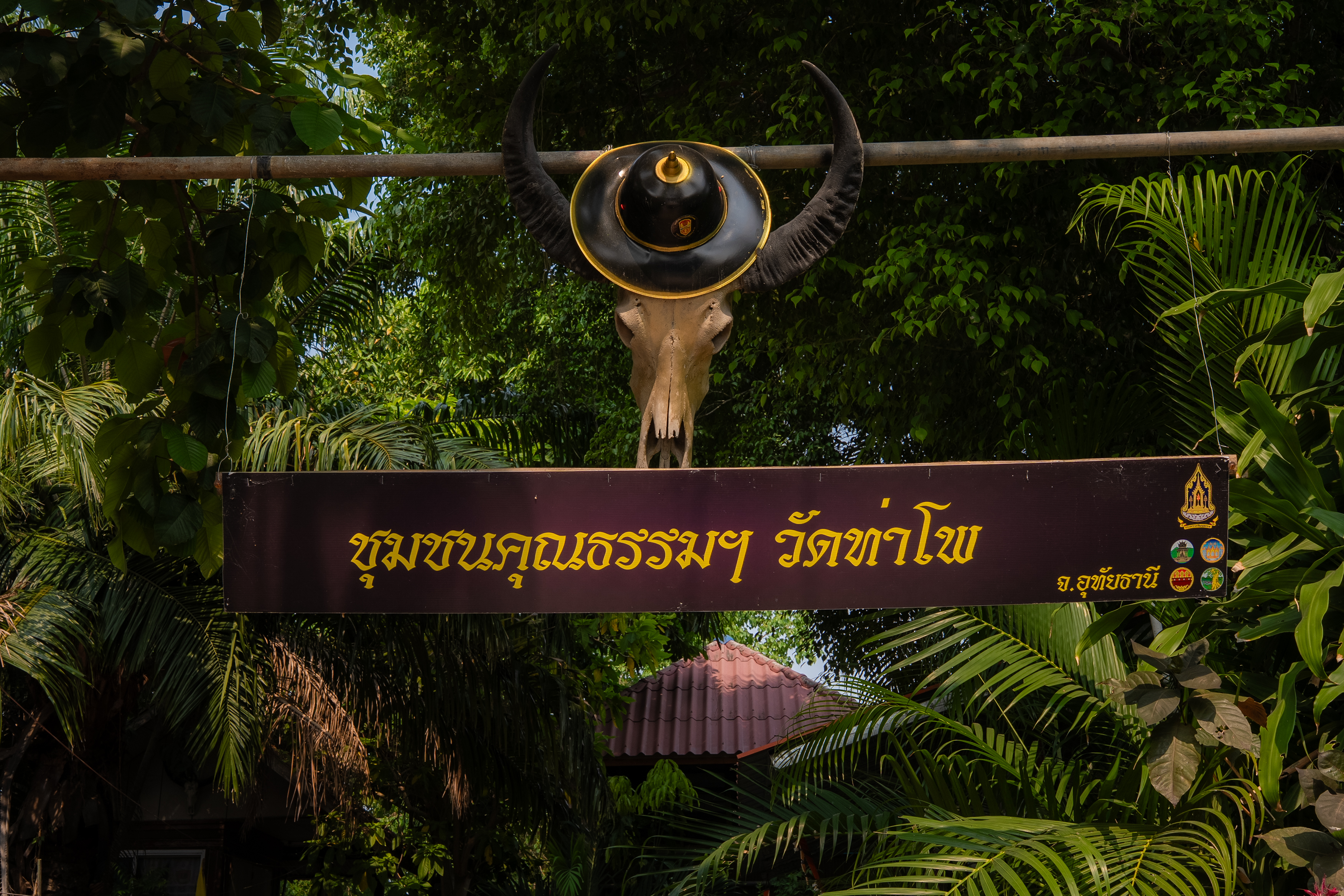 ภาพบรรยากาศและเส้นทางท่องเที่ยวใกล้บ้านท่าโพ