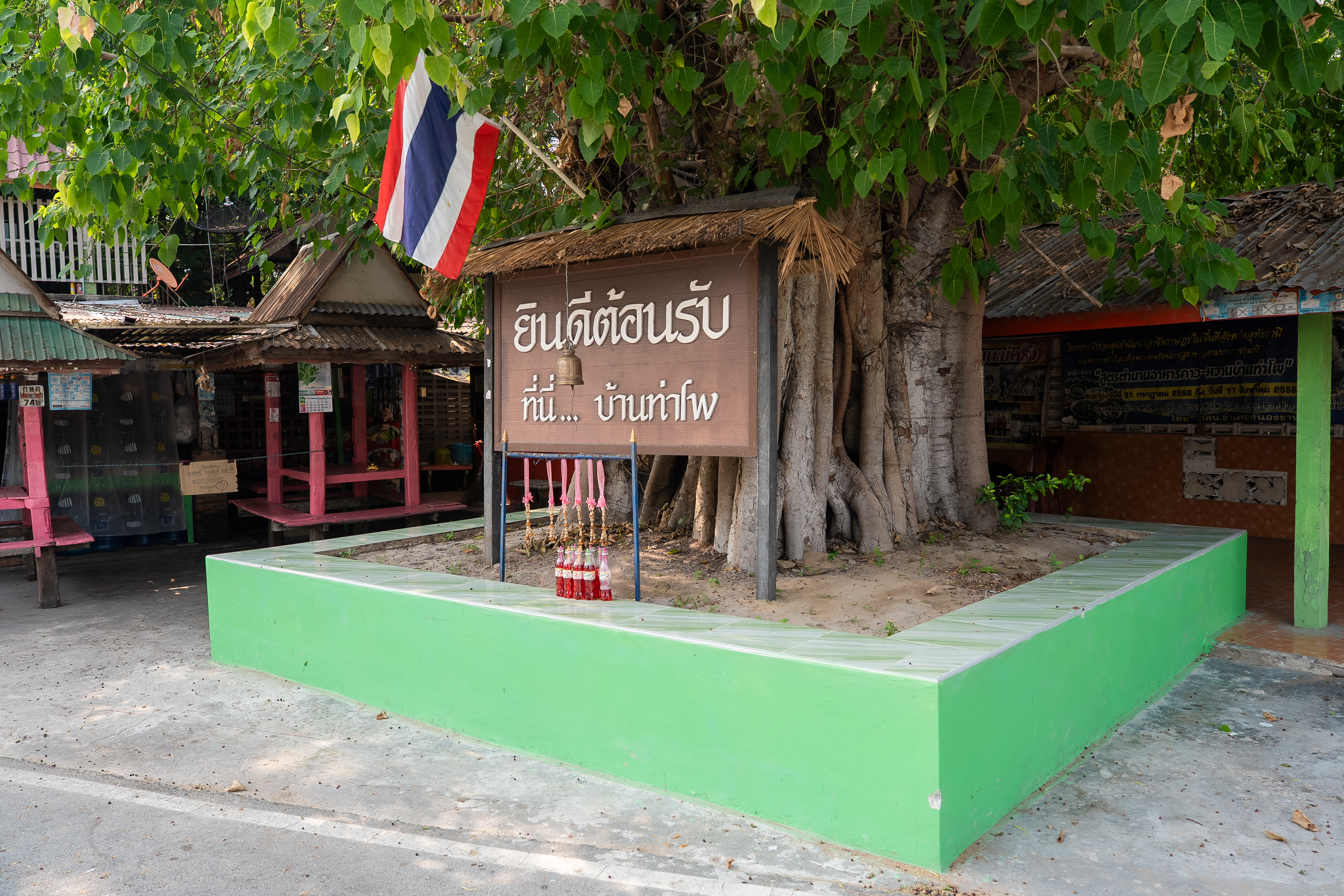 ต้นโพธิ์กลางบ้าน — ภาพประกอบโปรแกรมที่ 10